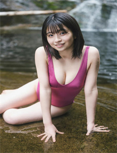 佛兰德斯的狗